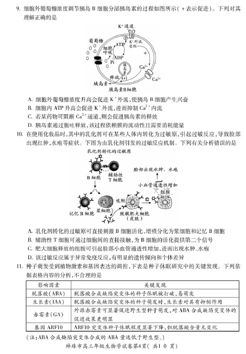 蚌埠市2026届高三年级适应性考试生物_2024-2026高三（6-6月题库）_2026年04月高三试卷_260423安徽省蚌埠市2026届高三年级适应性考试（全科）