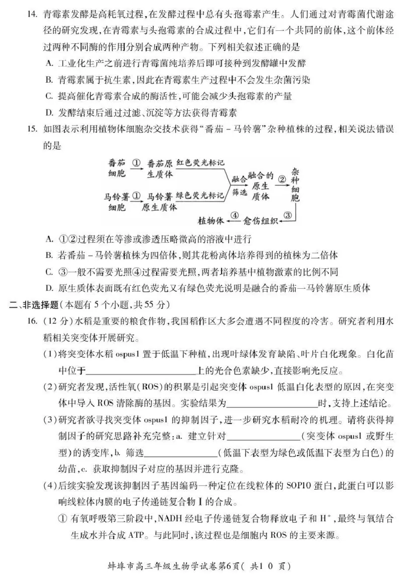 蚌埠市2026届高三年级适应性考试生物_2024-2026高三（6-6月题库）_2026年04月高三试卷_260423安徽省蚌埠市2026届高三年级适应性考试（全科）