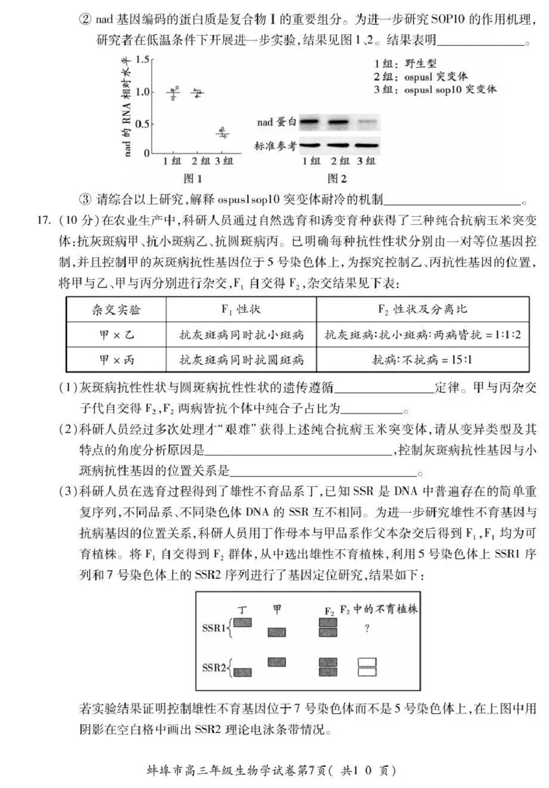 蚌埠市2026届高三年级适应性考试生物_2024-2026高三（6-6月题库）_2026年04月高三试卷_260423安徽省蚌埠市2026届高三年级适应性考试（全科）