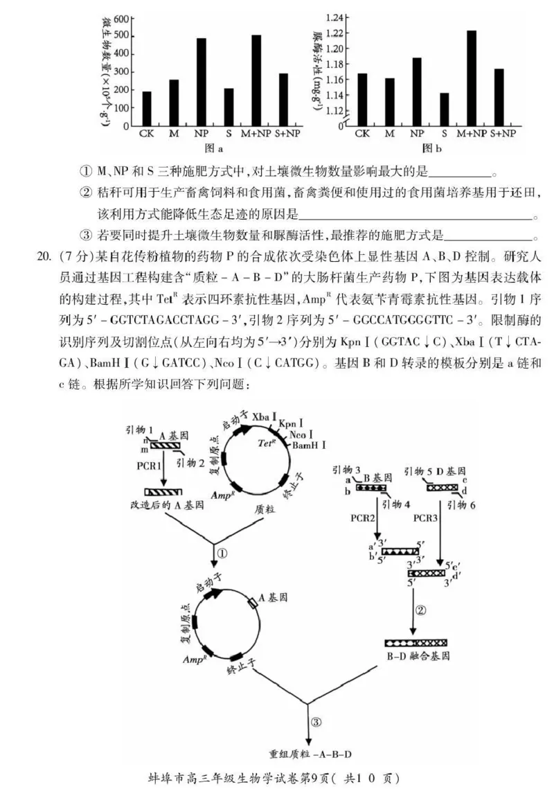 蚌埠市2026届高三年级适应性考试生物_2024-2026高三（6-6月题库）_2026年04月高三试卷_260423安徽省蚌埠市2026届高三年级适应性考试（全科）