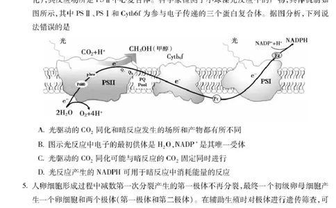 蚌埠市2026届高三年级适应性考试生物_2024-2026高三（6-6月题库）_2026年04月高三试卷_260423安徽省蚌埠市2026届高三年级适应性考试（全科）