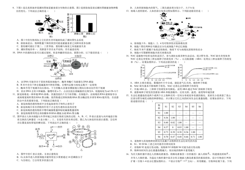 襄阳四中2026届高三下学期质量检测生物+答案_2024-2026高三（6-6月题库）_2026年03月高三试卷_260301湖北省襄阳四中2026届高三下学期质量检测