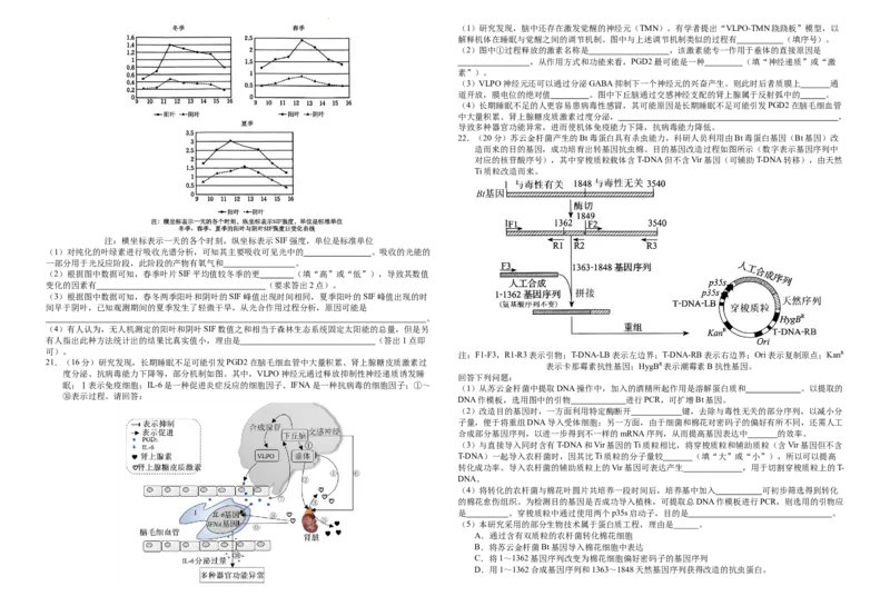 襄阳四中2026届高三下学期质量检测生物+答案_2024-2026高三（6-6月题库）_2026年03月高三试卷_260301湖北省襄阳四中2026届高三下学期质量检测