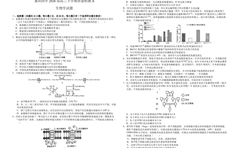 襄阳四中2026届高三下学期质量检测生物+答案_2024-2026高三（6-6月题库）_2026年03月高三试卷_260301湖北省襄阳四中2026届高三下学期质量检测