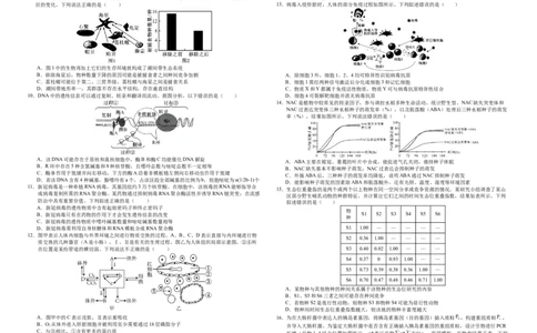襄阳四中2026届高三下学期质量检测生物+答案_2024-2026高三（6-6月题库）_2026年03月高三试卷_260301湖北省襄阳四中2026届高三下学期质量检测
