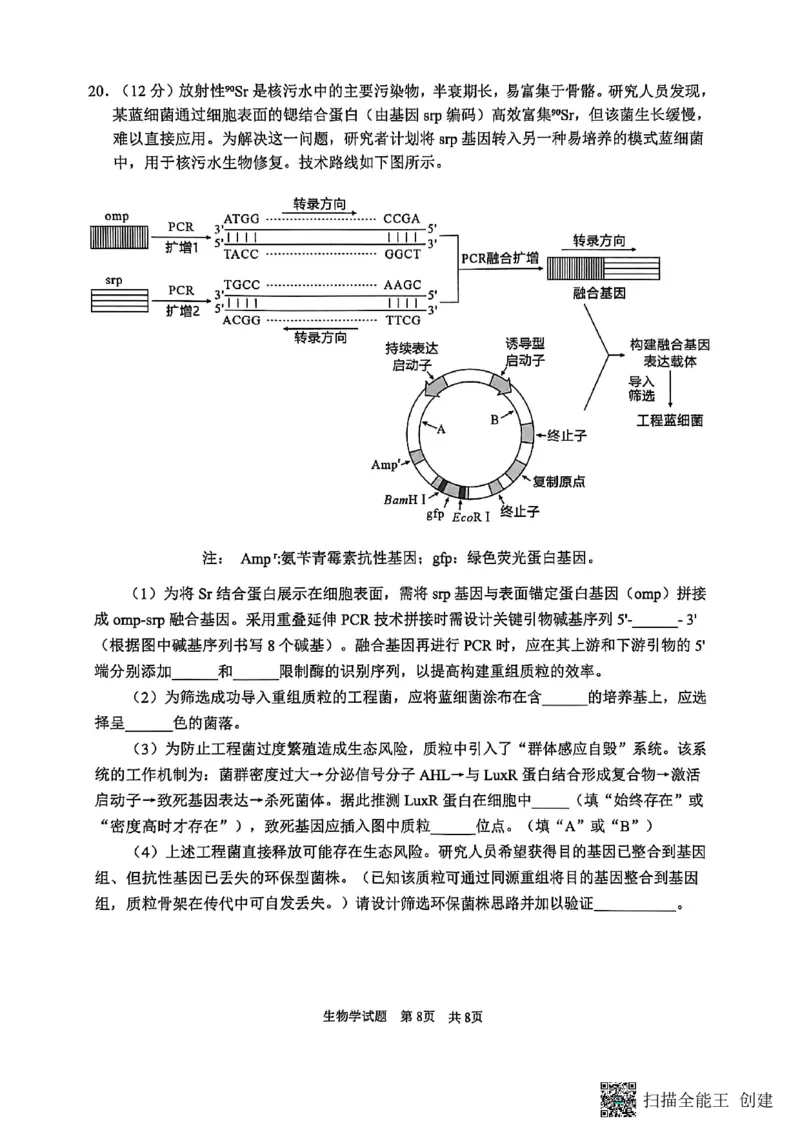广安市高2023级第二次模拟考试生物_2024-2026高三（6-6月题库）_2026年04月高三试卷_260405四川省广安市高2023级第二次模拟考试（全科）