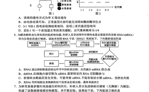 广安市高2023级第二次模拟考试生物_2024-2026高三（6-6月题库）_2026年04月高三试卷_260405四川省广安市高2023级第二次模拟考试（全科）