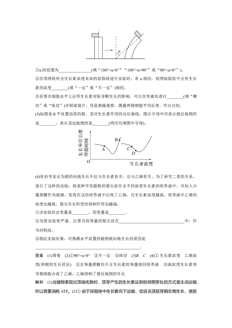微专题16　与植物激素相关的实验设计_新高考复习资料_2023年新高考复习资料_一轮复习_2023年新高考大一轮复习讲义_2023年高考生物一轮复习讲义（新人教新高考）_赠补充习题
