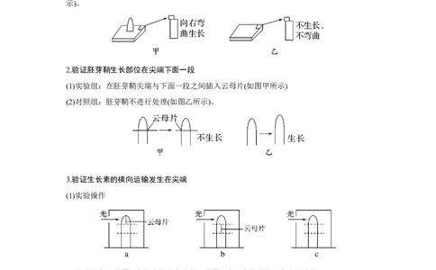 微专题16　与植物激素相关的实验设计_新高考复习资料_2023年新高考复习资料_一轮复习_2023年新高考大一轮复习讲义_2023年高考生物一轮复习讲义（新人教新高考）_赠补充习题