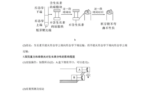 微专题16　与植物激素相关的实验设计_新高考复习资料_2023年新高考复习资料_一轮复习_2023年新高考大一轮复习讲义_2023年高考生物一轮复习讲义（新人教新高考）_赠补充习题