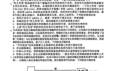 安徽江南十校26届高三下生物开学考试卷_2024-2026高三（6-6月题库）_2026年03月高三试卷_260308安徽省江南十校2026届高三下学期3月开学考试（全科）