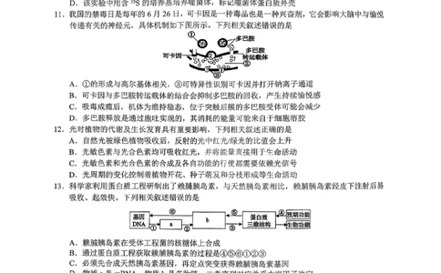 生物-浙江Z20名校联盟2026届高三第二次联考_2024-2026高三（6-6月题库）_2026年03月高三试卷_260302Z20名校联盟(浙江省名校新高考研究联盟)2026届高三第二次联考