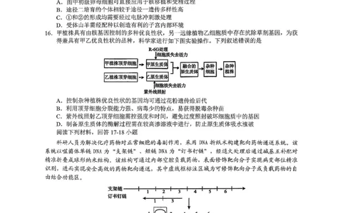 生物-浙江Z20名校联盟2026届高三第二次联考_2024-2026高三（6-6月题库）_2026年03月高三试卷_260302Z20名校联盟(浙江省名校新高考研究联盟)2026届高三第二次联考