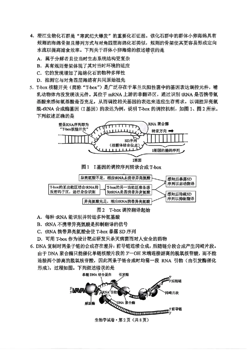 云南省红河州、文山州2026届高中毕业生高三年级第二次复习统一检测(红河文山二统)生物试卷_2024-2026高三（6-6月题库）_2026年02月高三试卷