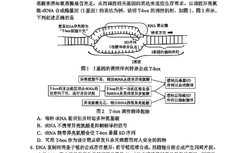 云南省红河州、文山州2026届高中毕业生高三年级第二次复习统一检测(红河文山二统)生物试卷_2024-2026高三（6-6月题库）_2026年02月高三试卷