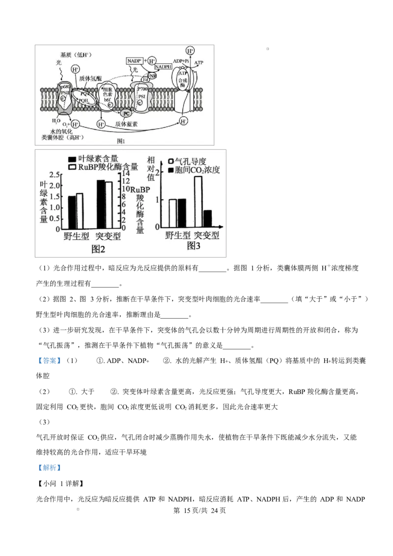 生物试题（解析版）_2024-2026高三（6-6月题库）_2026年03月高三试卷_260323山东2026届九五协作体高三下学期3月学习质量评估（全科）