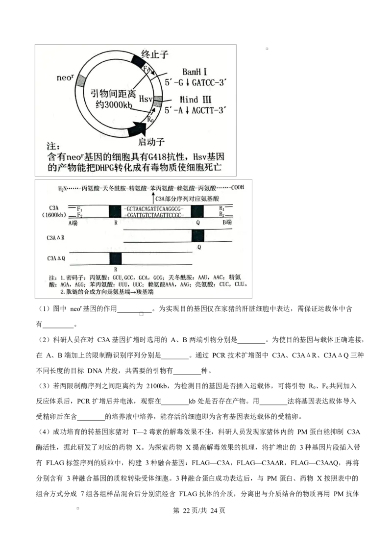 生物试题（解析版）_2024-2026高三（6-6月题库）_2026年03月高三试卷_260323山东2026届九五协作体高三下学期3月学习质量评估（全科）