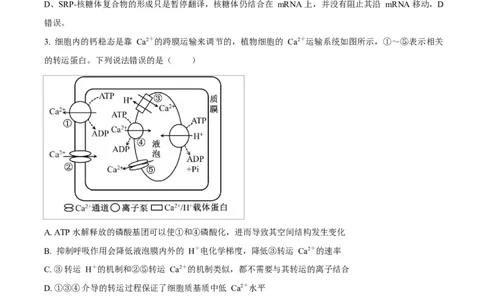 生物试题（解析版）_2024-2026高三（6-6月题库）_2026年03月高三试卷_260323山东2026届九五协作体高三下学期3月学习质量评估（全科）