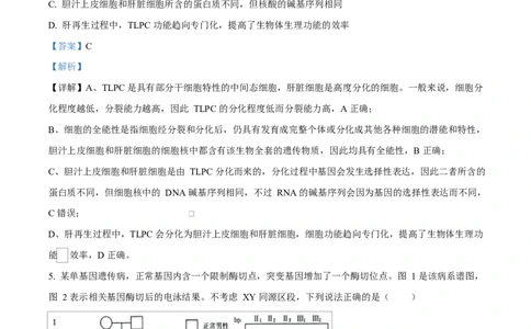 生物试题（解析版）_2024-2026高三（6-6月题库）_2026年03月高三试卷_260323山东2026届九五协作体高三下学期3月学习质量评估（全科）