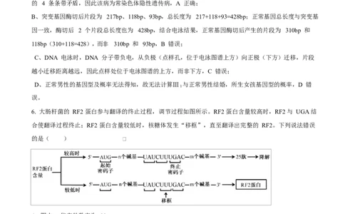 生物试题（解析版）_2024-2026高三（6-6月题库）_2026年03月高三试卷_260323山东2026届九五协作体高三下学期3月学习质量评估（全科）