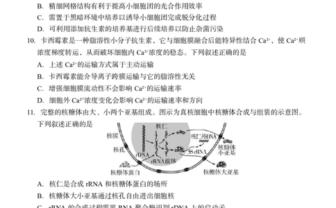 生物试题_2024-2026高三（6-6月题库）_2026年04月高三试卷_260412浙江台州市2026届高三第二次教学质量评估（全科）