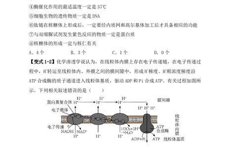 易错点01真核生物和原核生物的辨析（4大陷阱）（原卷版）_新高考复习资料_2024年新高考复习资料_❤专项复习资料_完备战2024年高考生物考试易错题（新高考专用）