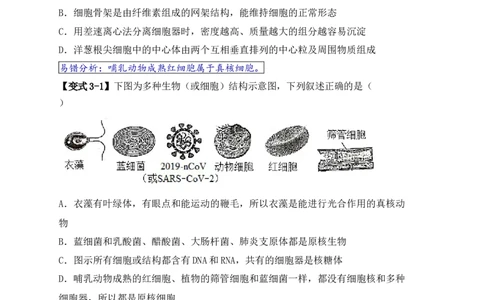 易错点01真核生物和原核生物的辨析（4大陷阱）（原卷版）_新高考复习资料_2024年新高考复习资料_❤专项复习资料_完备战2024年高考生物考试易错题（新高考专用）