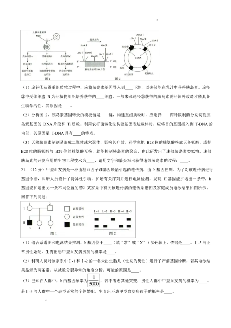 试卷河南部分重点中学2026届高三下学期4月内部练生物试卷_2024-2026高三（6-6月题库）_2026年04月高三试卷_260403青桐鸣大联考2026年高三4月内部练（全科）