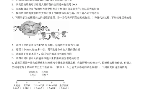 广东省深圳市光明区2023届高三上学期第一次模拟考试（8月）+生物+Word版含解析_生物高考模拟题_新高考_2023年
