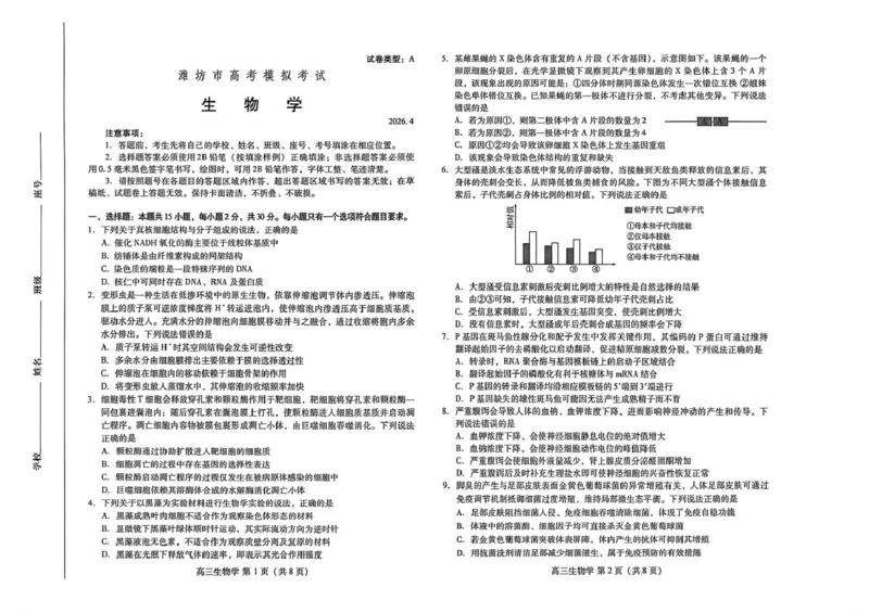 山东潍坊市2026届高三二模生物学山东潍坊市2026届高三二模生物学_2024-2026高三（6-6月题库）_2026年04月高三试卷_260424山东省潍坊市2026届高三二模考试（全科）