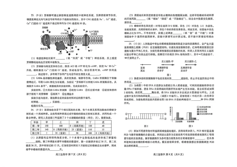 山东潍坊市2026届高三二模生物学山东潍坊市2026届高三二模生物学_2024-2026高三（6-6月题库）_2026年04月高三试卷_260424山东省潍坊市2026届高三二模考试（全科）