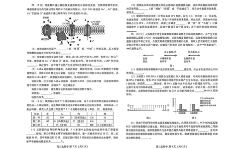 山东潍坊市2026届高三二模生物学山东潍坊市2026届高三二模生物学_2024-2026高三（6-6月题库）_2026年04月高三试卷_260424山东省潍坊市2026届高三二模考试（全科）