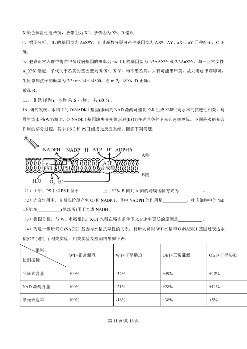 生物解析福建2025-2026学年高三年级下学期开学阶段性自测生物试卷（解析版）_2024-2026高三（6-6月题库）_2026年03月高三试卷_260302福建百校2025-2026学年高三年级下学期开学阶段性自测