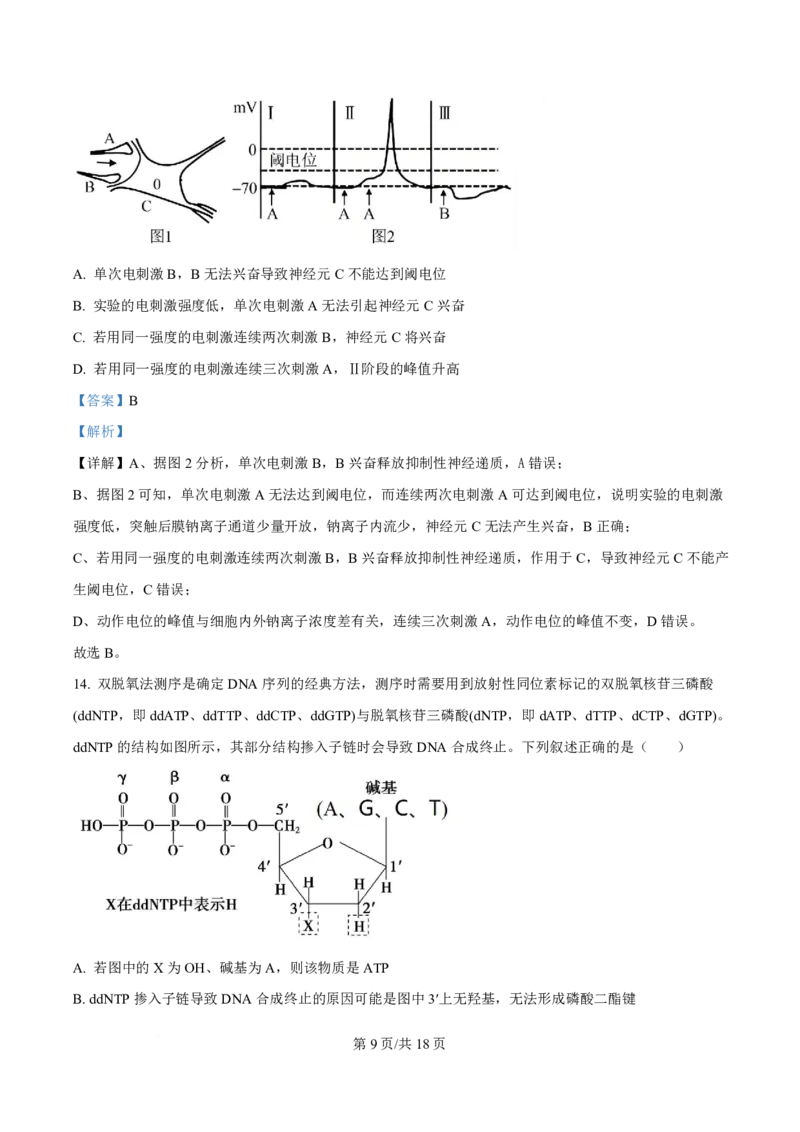 生物解析福建2025-2026学年高三年级下学期开学阶段性自测生物试卷（解析版）_2024-2026高三（6-6月题库）_2026年03月高三试卷_260302福建百校2025-2026学年高三年级下学期开学阶段性自测