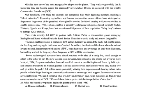 资阳市高中2023级高考适应性考试英语_2024-2026高三（6-6月题库）_2026年04月高三试卷_260417四川省资阳市高中2023级高考适应性考试（全科）