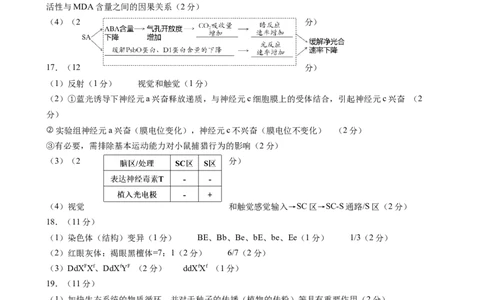 成都石室中学2025-2026学年度下期高2026届4月专项训练生物答案_2024-2026高三（6-6月题库）_2026年04月高三试卷_260423四川省成都石室中学2025-2026学年度下期高2026届4月专项训练（全科）
