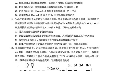 广元市高2026届第二次高考适应性检测生物_2024-2026高三（6-6月题库）_2026年04月高三试卷_260403四川省广元市高2026届第二次高考适应性检测（全科）