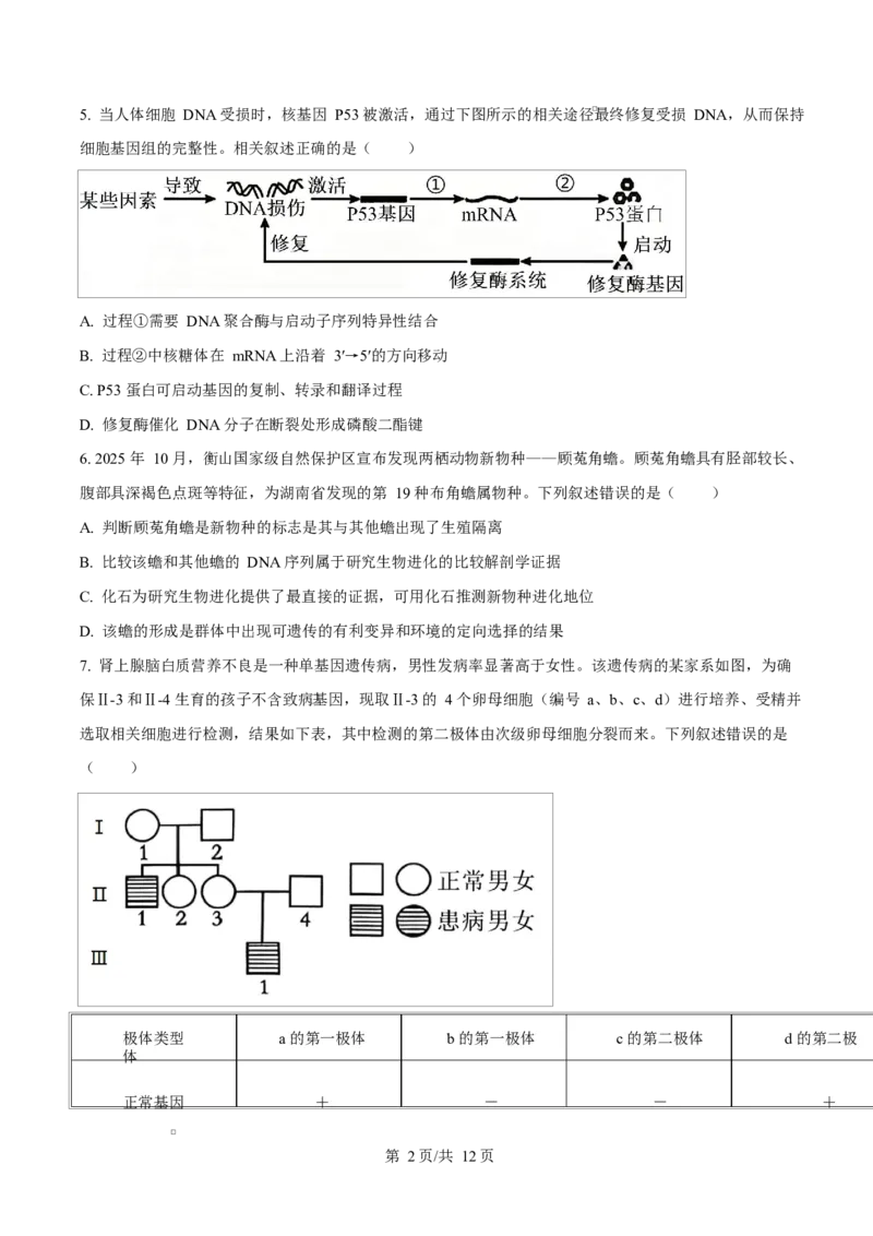 河北衡水市桃城区河北衡水中学2025-2026学年度高三年级下学期综合素质评价三生物学科Word版无答案_2024-2026高三（6-6月题库）_2026年04月高三试卷