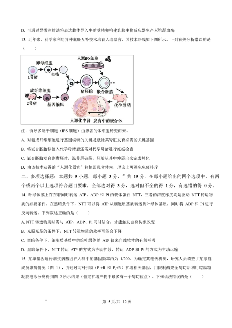 河北衡水市桃城区河北衡水中学2025-2026学年度高三年级下学期综合素质评价三生物学科Word版无答案_2024-2026高三（6-6月题库）_2026年04月高三试卷