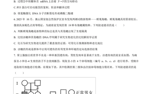 河北衡水市桃城区河北衡水中学2025-2026学年度高三年级下学期综合素质评价三生物学科Word版无答案_2024-2026高三（6-6月题库）_2026年04月高三试卷