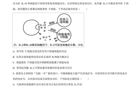 河北衡水市桃城区河北衡水中学2025-2026学年度高三年级下学期综合素质评价三生物学科Word版无答案_2024-2026高三（6-6月题库）_2026年04月高三试卷