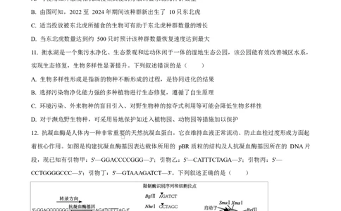 河北衡水市桃城区河北衡水中学2025-2026学年度高三年级下学期综合素质评价三生物学科Word版无答案_2024-2026高三（6-6月题库）_2026年04月高三试卷