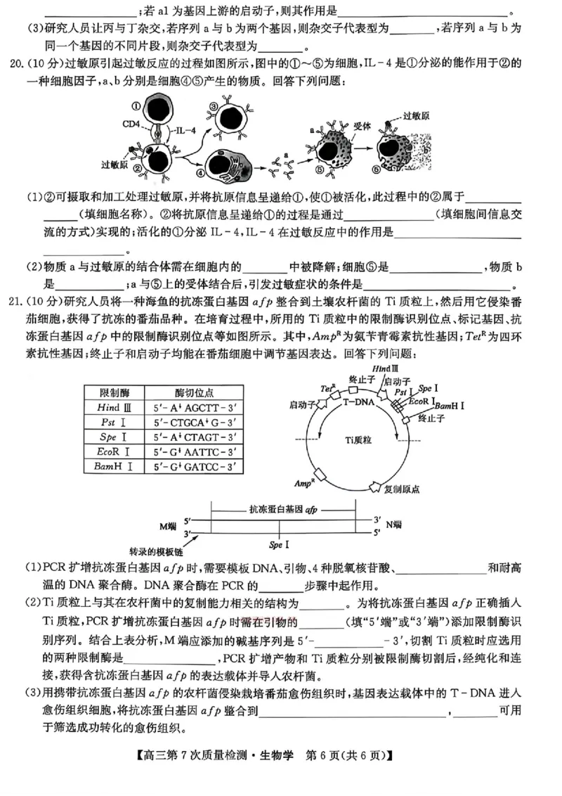 生物试题2026山西九师联盟高三第7次质量检测3.5-6_2024-2026高三（6-6月题库）_2026年03月高三试卷_2603082026届山西九师联盟高三第7次质量检测（全科）