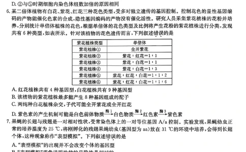 生物试题2026山西九师联盟高三第7次质量检测3.5-6_2024-2026高三（6-6月题库）_2026年03月高三试卷_2603082026届山西九师联盟高三第7次质量检测（全科）