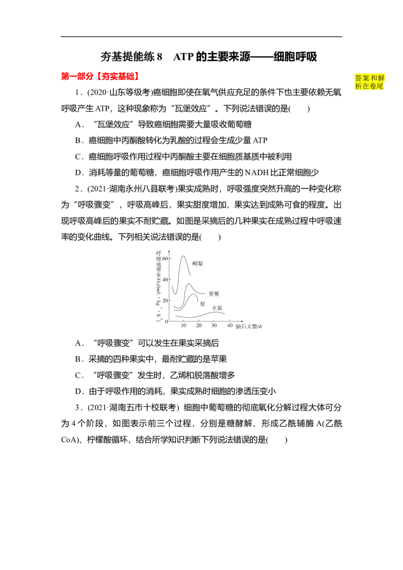 夯基提能练8ATP的主要来源&mdash;&mdash;细胞呼吸-备战2023高考生物一轮复习夯基提能练（全国通用）（解析版）_通用版（老高考）复习资料_2023年复习资料_一轮复习