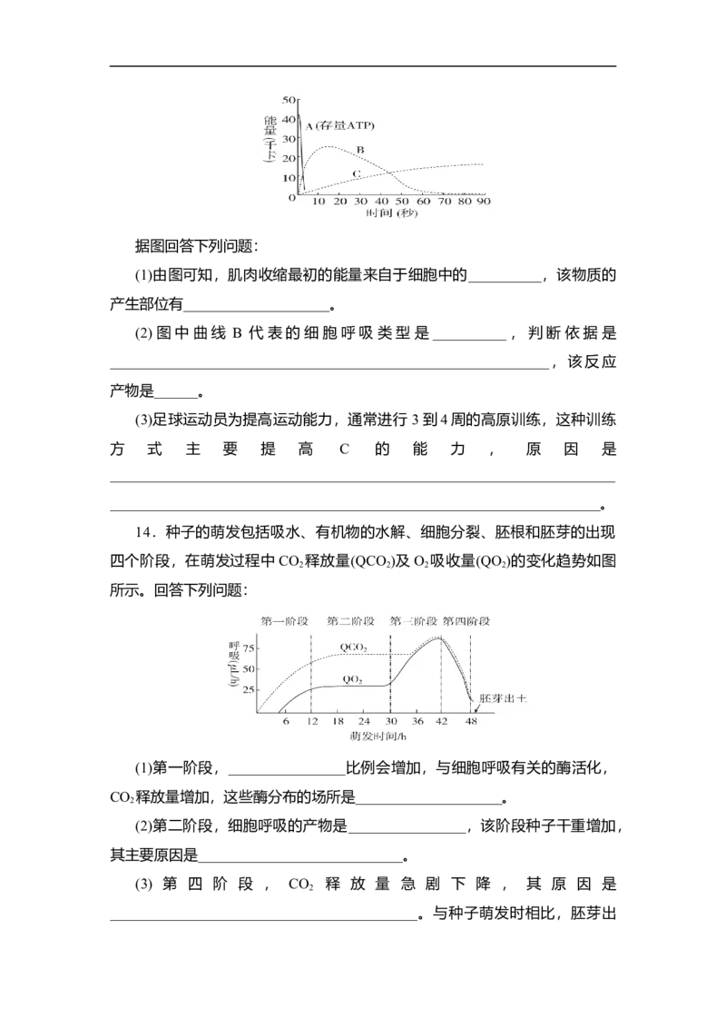 夯基提能练8ATP的主要来源&mdash;&mdash;细胞呼吸-备战2023高考生物一轮复习夯基提能练（全国通用）（解析版）_通用版（老高考）复习资料_2023年复习资料_一轮复习