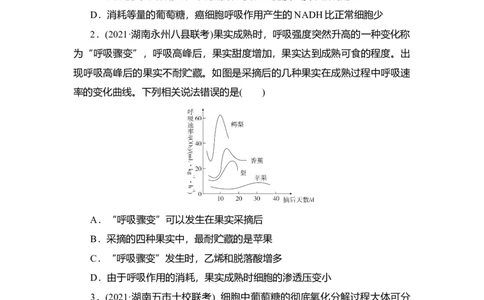 夯基提能练8ATP的主要来源&mdash;&mdash;细胞呼吸-备战2023高考生物一轮复习夯基提能练（全国通用）（解析版）_通用版（老高考）复习资料_2023年复习资料_一轮复习