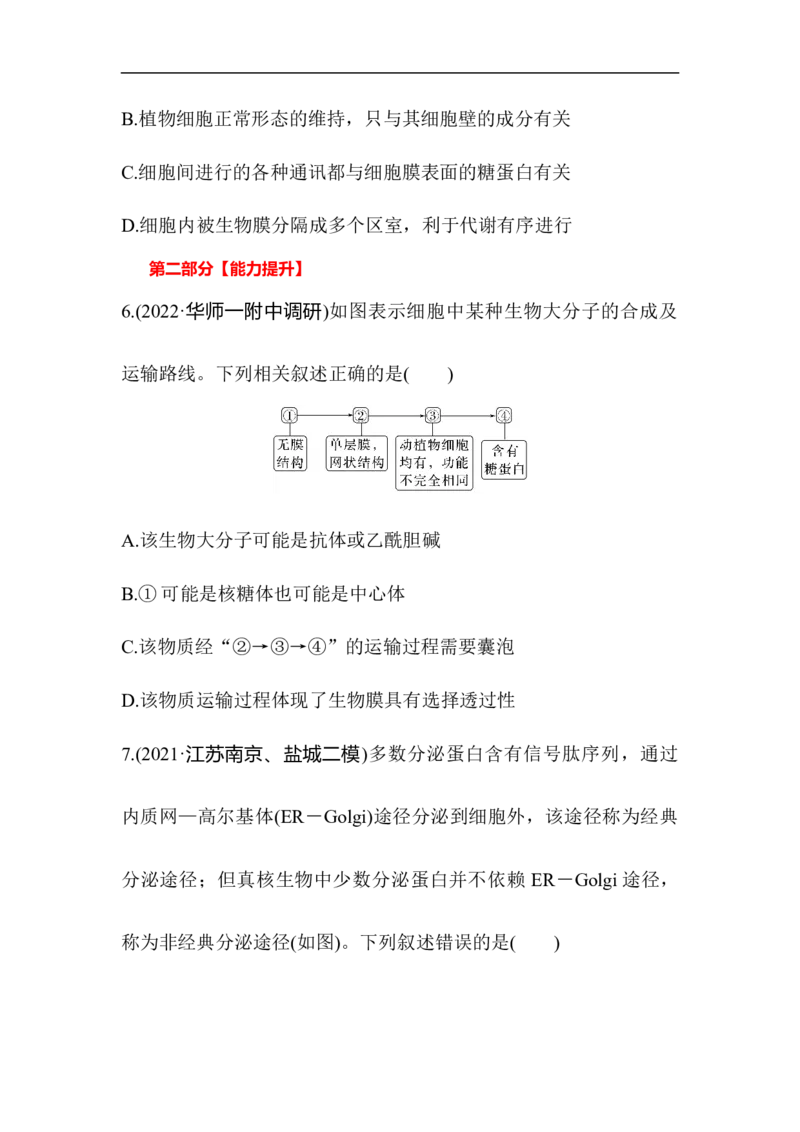 夯基提能练5细胞器及生物膜系统-备战2023高考生物一轮复习夯基提能练（全国通用）（原卷版）_通用版（老高考）复习资料_2023年复习资料_一轮复习