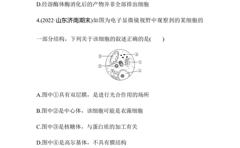 夯基提能练5细胞器及生物膜系统-备战2023高考生物一轮复习夯基提能练（全国通用）（原卷版）_通用版（老高考）复习资料_2023年复习资料_一轮复习