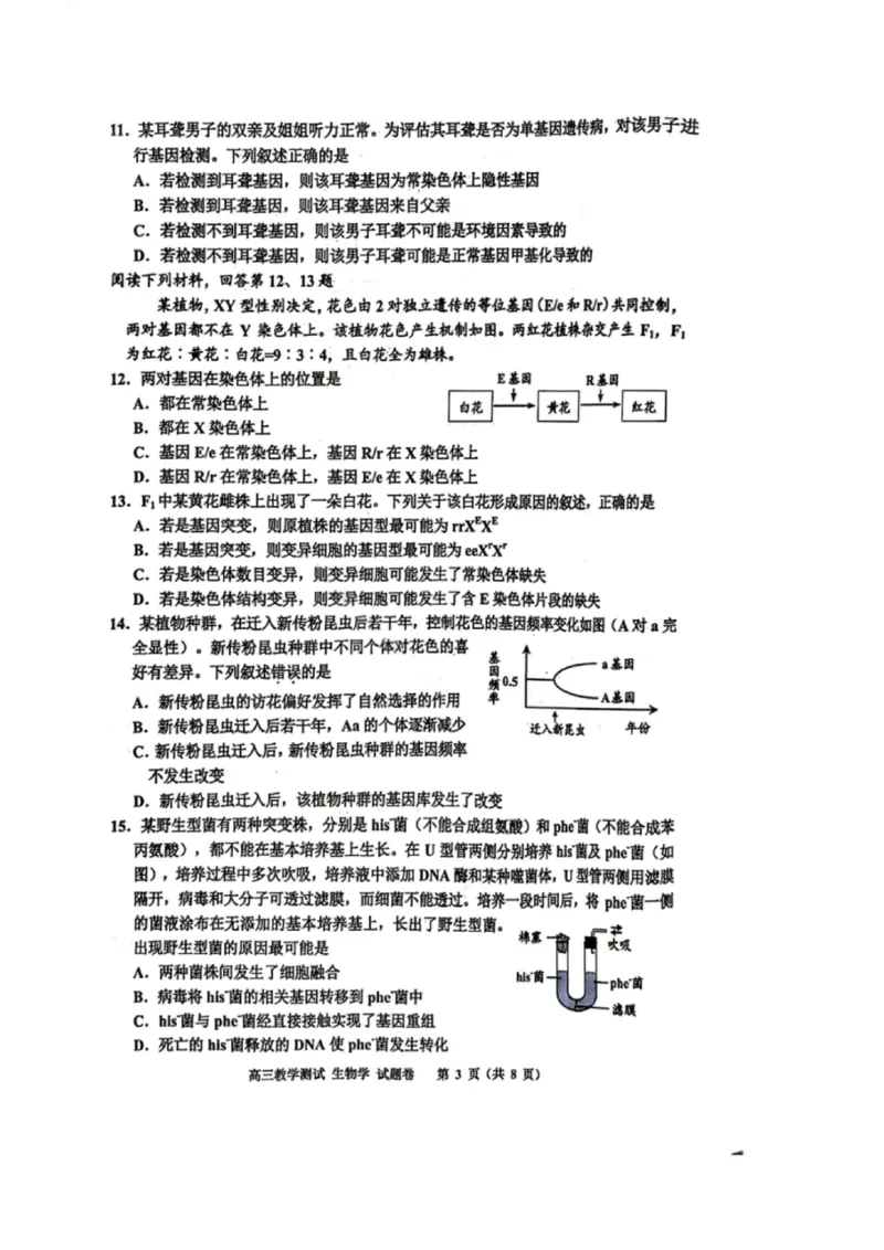 嘉兴二模生物试题_2024-2026高三（6-6月题库）_2026年04月高三试卷_260411浙江省嘉兴市2025-2026学年高三下学期二模（全科）_浙江省嘉兴市2025-2026学年高三下学期二模生物试题（含答案）